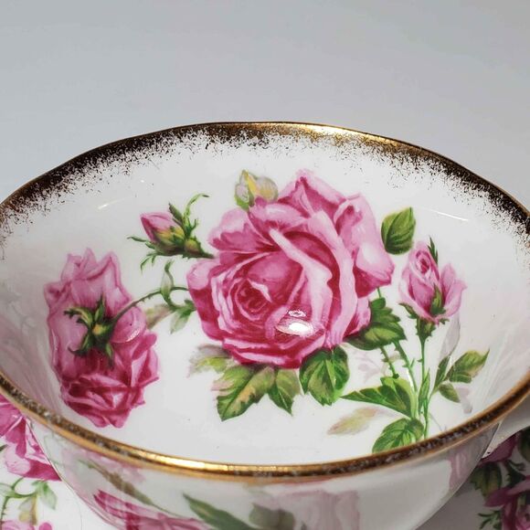 Royal Standard Teacup and Saucer Orleans Rose Vintage - Picture 2 of 10